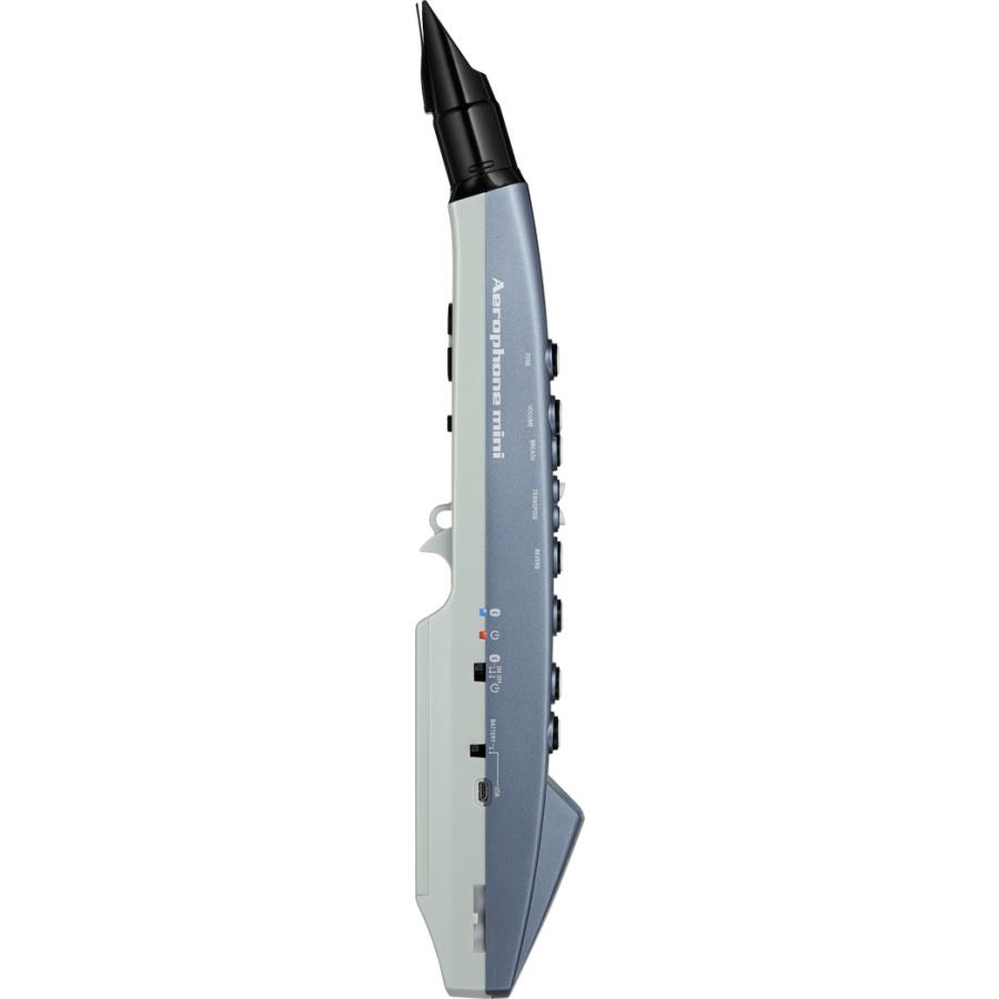 ローランド（Roland） Roland Aerophone mini AE-01 Digital Wind