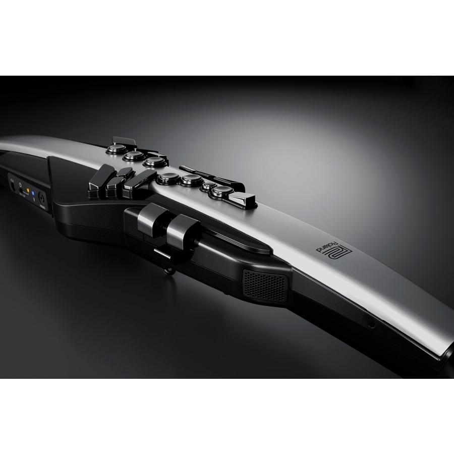 ローランド（Roland） Roland Aerophone Pro AE-30 Digital Wind