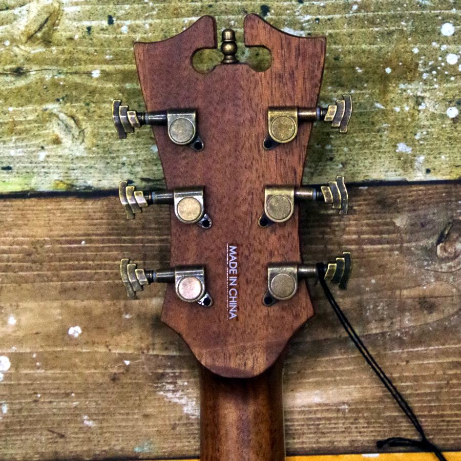 D'Angelico Premier Tammany Iced Tea Burst_10