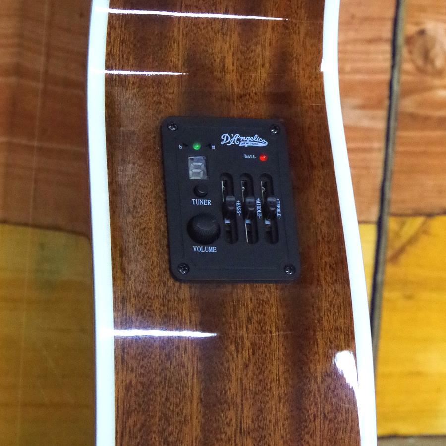 D'Angelico Premier Tammany Iced Tea Burst_3