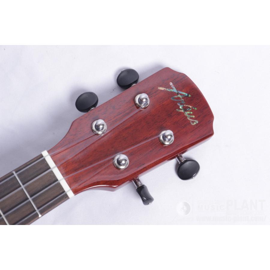 Argus(アーガス) AC-5 Concert Ukulele : ミュージック プラント Yahoo