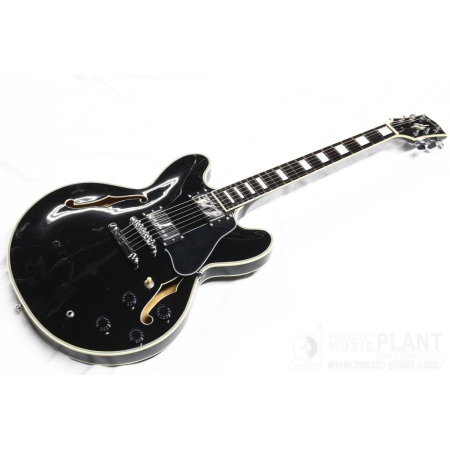 Kaalena ブラック エレキギター