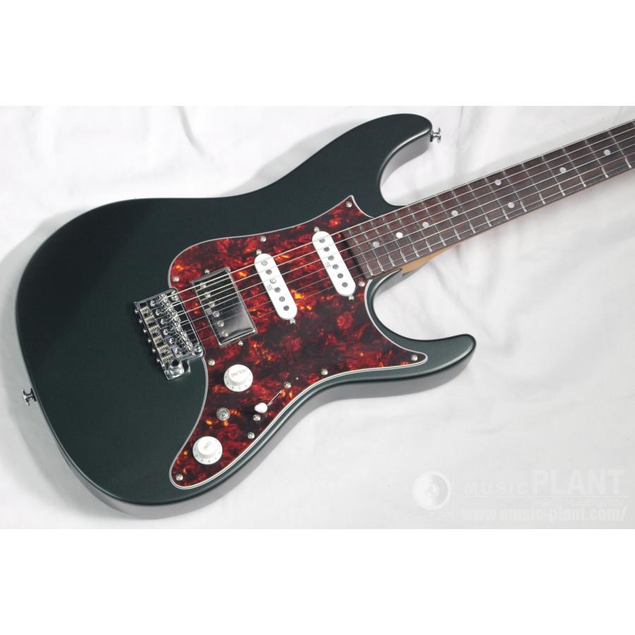 Ibanez(アイバニーズ) AZ2204N-VGFの画像