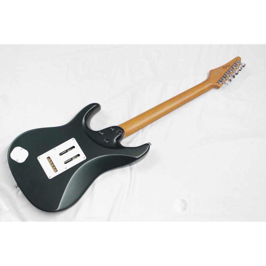 Ibanez(アイバニーズ) AZ2204N-VGFの画像