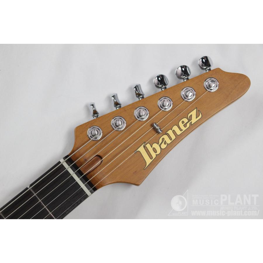 Ibanez(アイバニーズ) AZ2204N-VGFの画像