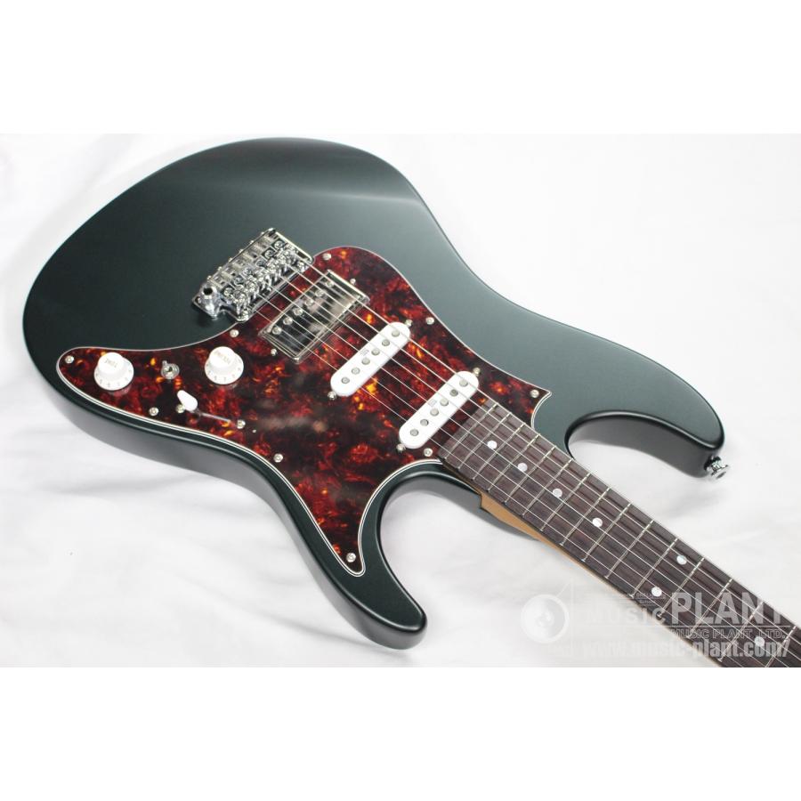 Ibanez(アイバニーズ) AZ2204N-VGFの画像