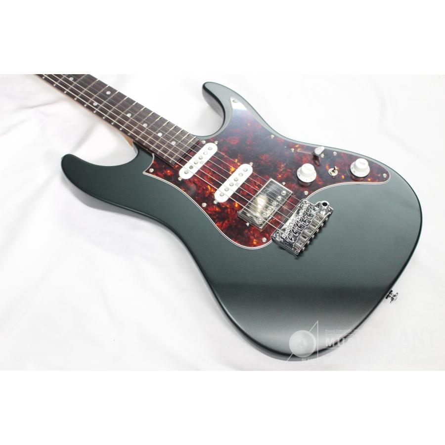Ibanez(アイバニーズ) AZ2204N-VGFの画像
