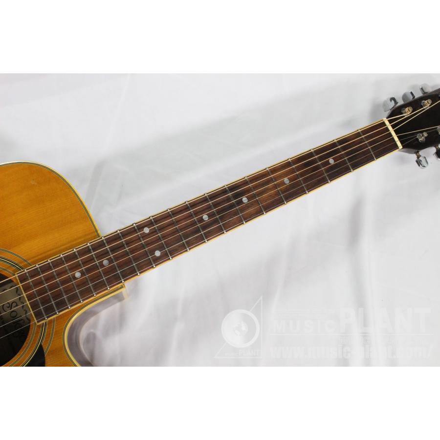中古】Solfege D280 Natural : ミュージック プラント Yahoo!店 - 通販