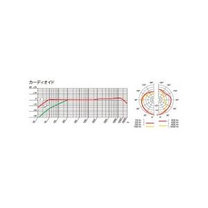 AKG(アーカーゲー) P420 【Neumann】