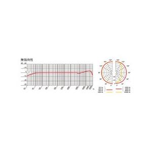 AKG(アーカーゲー) P420 【Neumann】