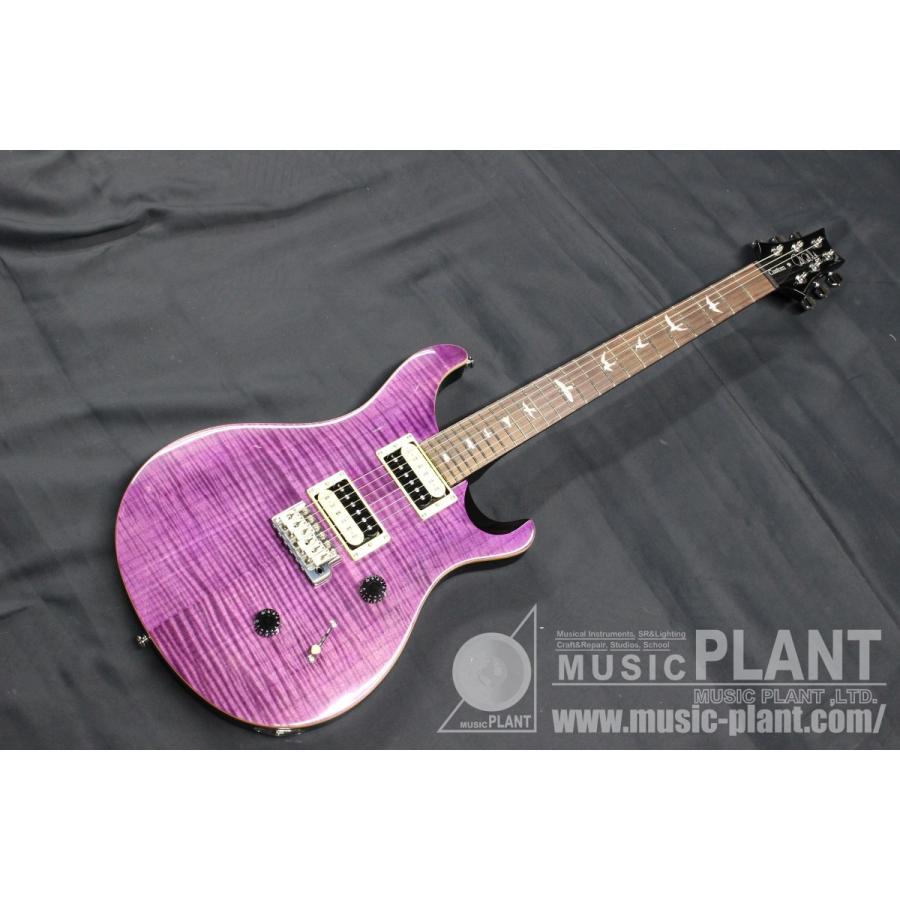 Paul Reed Smith (PRS)(ポールリードスミス) SE Custom 24 Beveled Top 