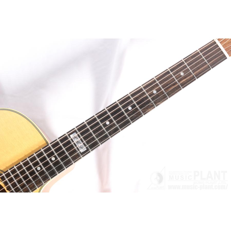 Maton(メイトン) EBG808CTE Tommy Emmanuel Signature : ミュージック