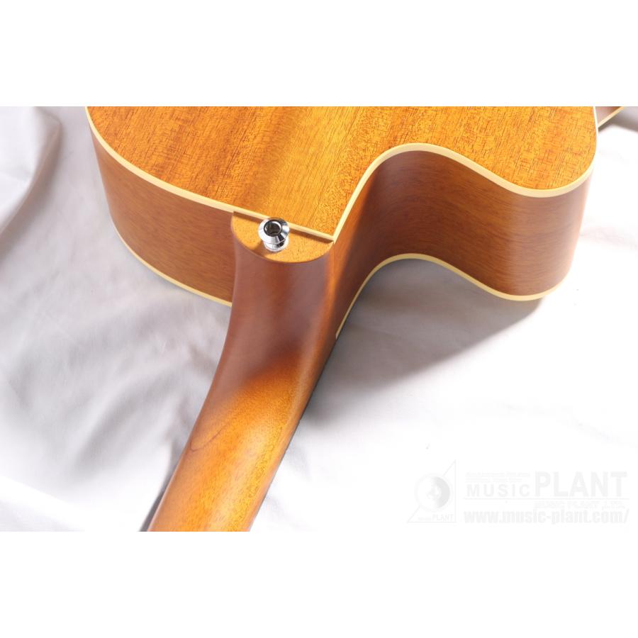 Maton(メイトン) EBG808CTE Tommy Emmanuel Signature : ミュージック