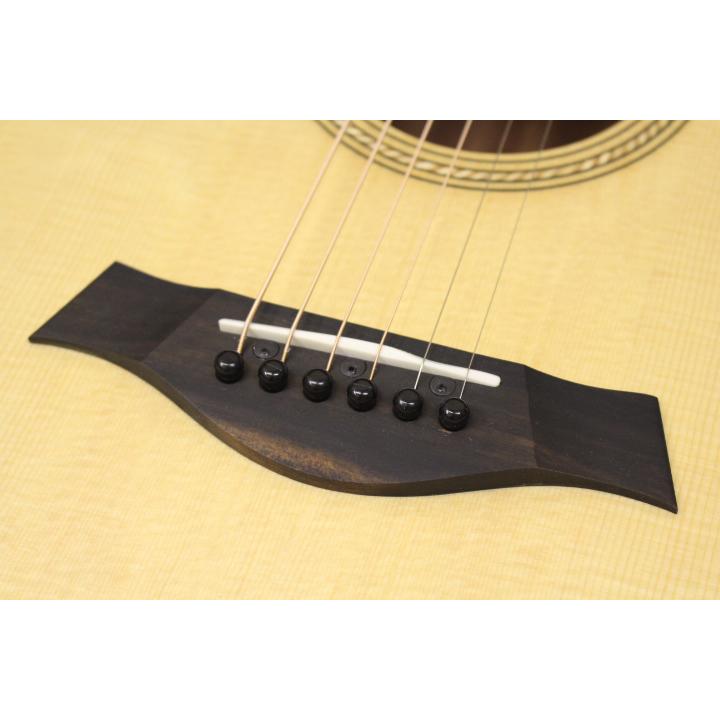 Taylor 【新入荷しました。】Taylor(テイラー) / Academy10e