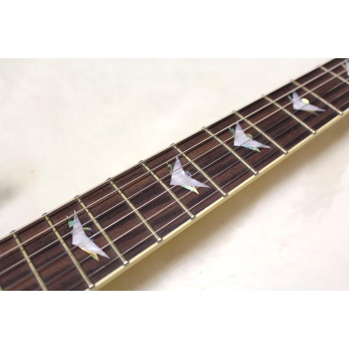 1本限り大特価 SCHECTER(シェクター) / AD-OM6-EXT STBK エレキ