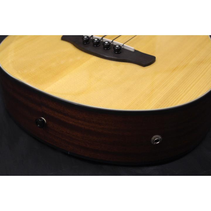 Ibanez（アイバニーズ） セール特価 新品 / AEGB30E-NTG