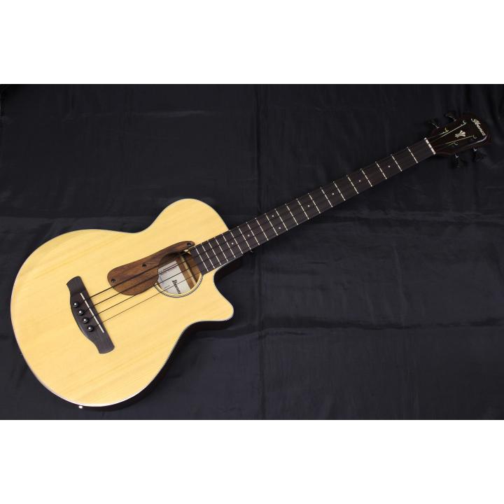 Ibanez セール特価 新品 Ibanez(アイバニーズ) / AEGB30E-NTG