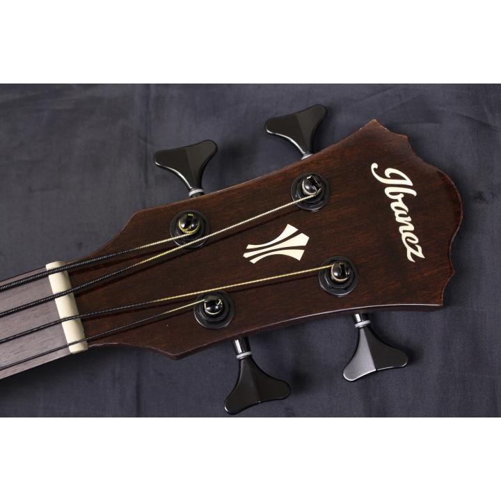 Ibanez（アイバニーズ） セール特価 新品 / AEGB30E-NTG