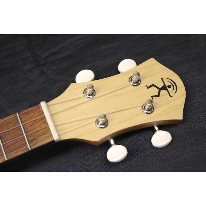 【発売記念特価】新品 aNueNue(アヌエヌエ) / aNN-UC10 BA(ブルーアロナ) コンサートウクレレ : MusicStore ...