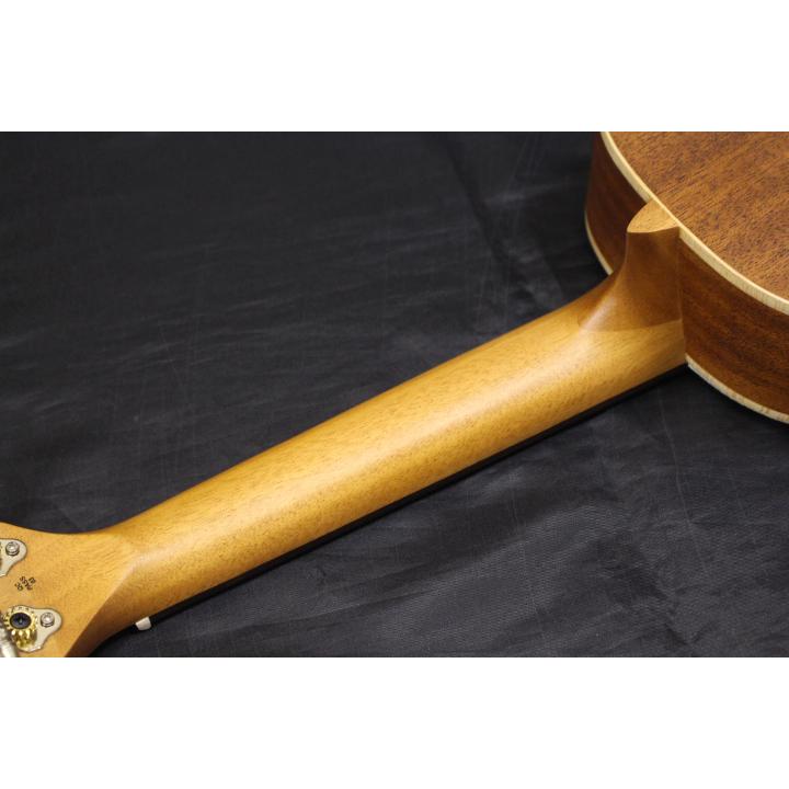 【発売記念特価】新品 aNueNue(アヌエヌエ) / aNN-UC10 BA(ブルーアロナ) コンサートウクレレ : MusicStore ...
