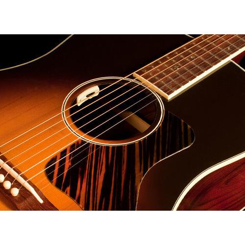 L.R.Baggs エルアールバッグス / ANTHEM SL Microphoneピックアップ 