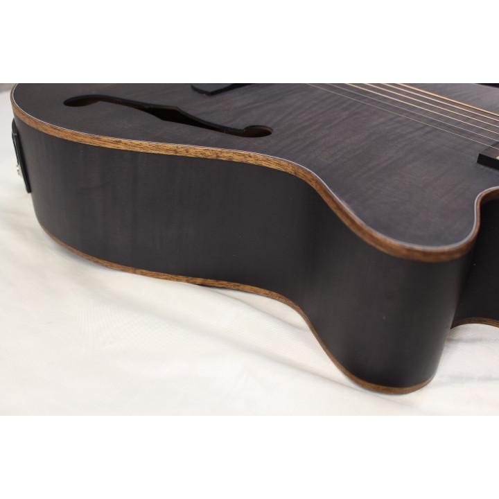 新品 Aria(アリア) / FET-F2 STBK エレクトリック・アコースティック