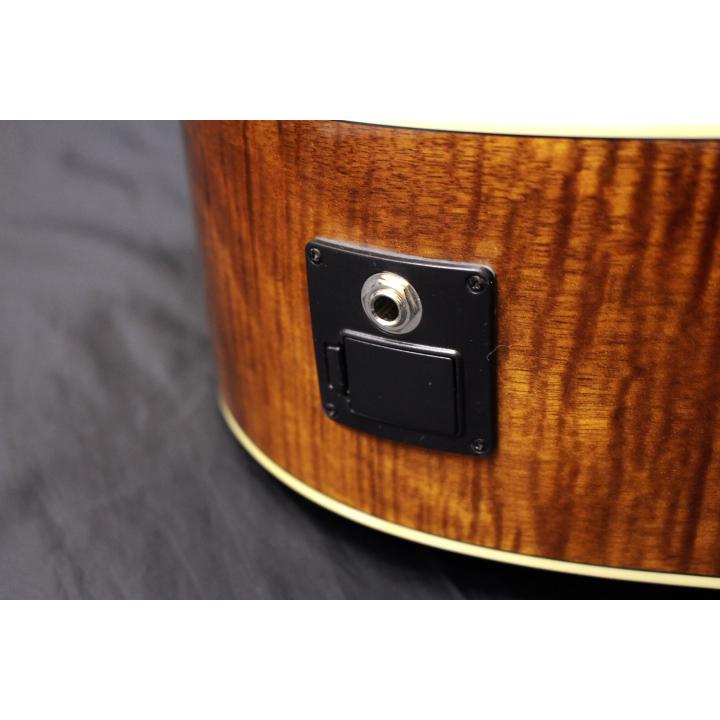 新品 Morris(モーリス) / G-021E RBS エレアコ 数量限定特典付き