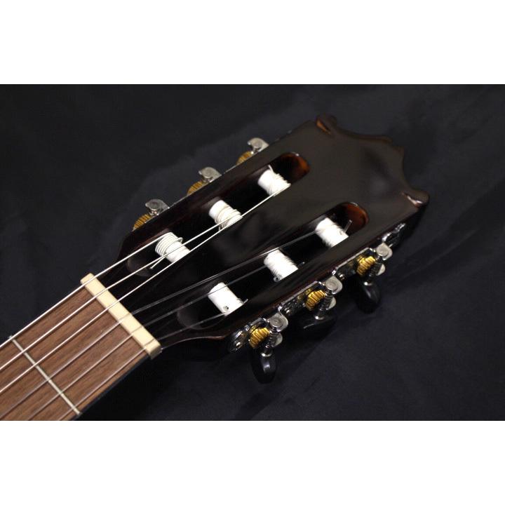 Ibanez（アイバニーズ） アイバニーズ / GA30TCE DVS (ダーク
