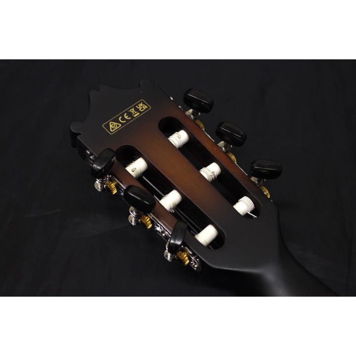 Ibanez（アイバニーズ） アイバニーズ / GA30TCE DVS (ダーク