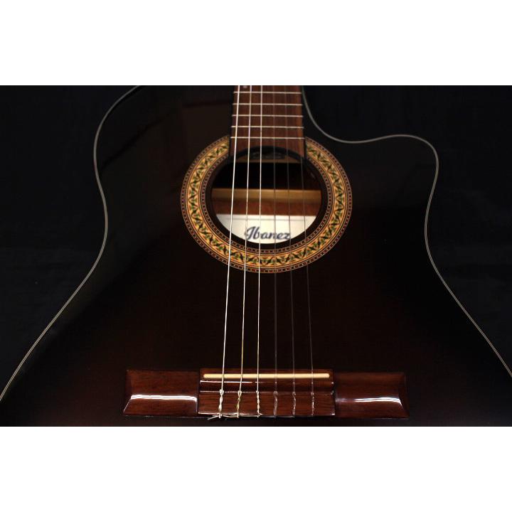 Ibanez（アイバニーズ） アイバニーズ / GA30TCE DVS (ダーク