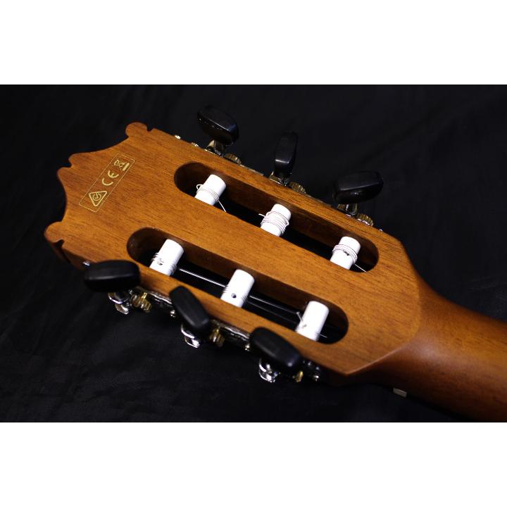 Ibanez（アイバニーズ） 【現品限り】 / GA30TCE NT エレガットギター