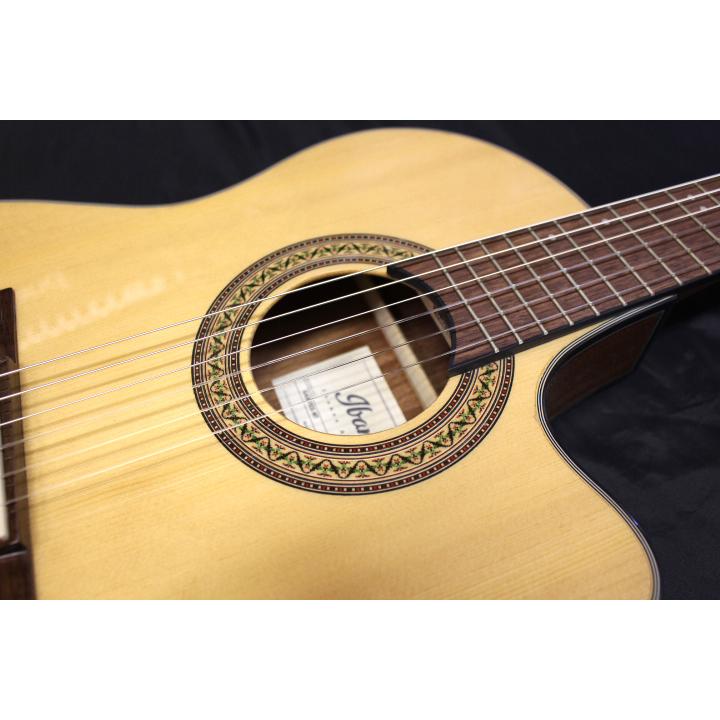 Ibanez（アイバニーズ） 【現品限り】 / GA30TCE NT エレガットギター
