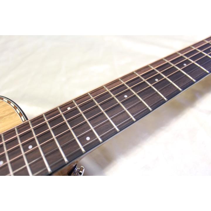 新品 Headway(ヘッドウェイ) / HT-BEETLE NA エレアコ・トラベルギター