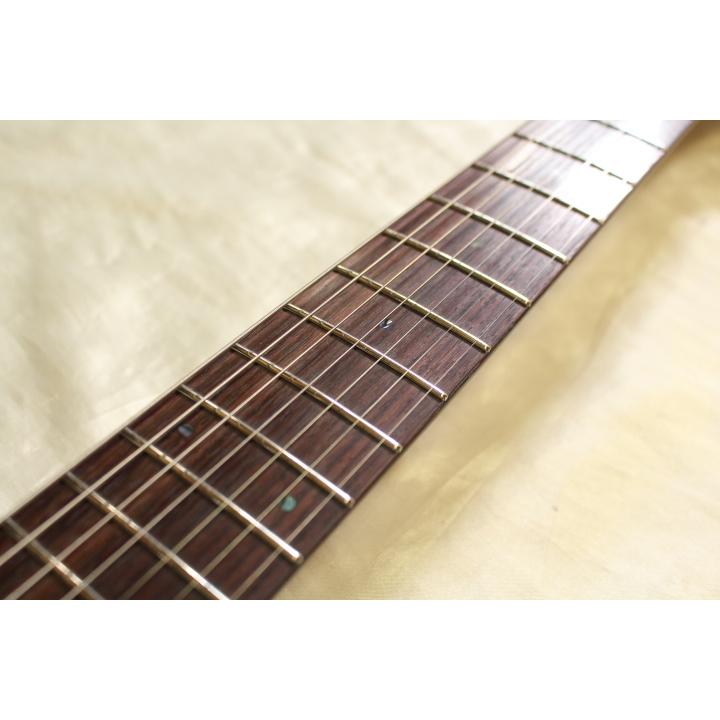 SCHECTER ※現品限りで値下げしました！ SCHECTER(シェクター) / JOL-CT