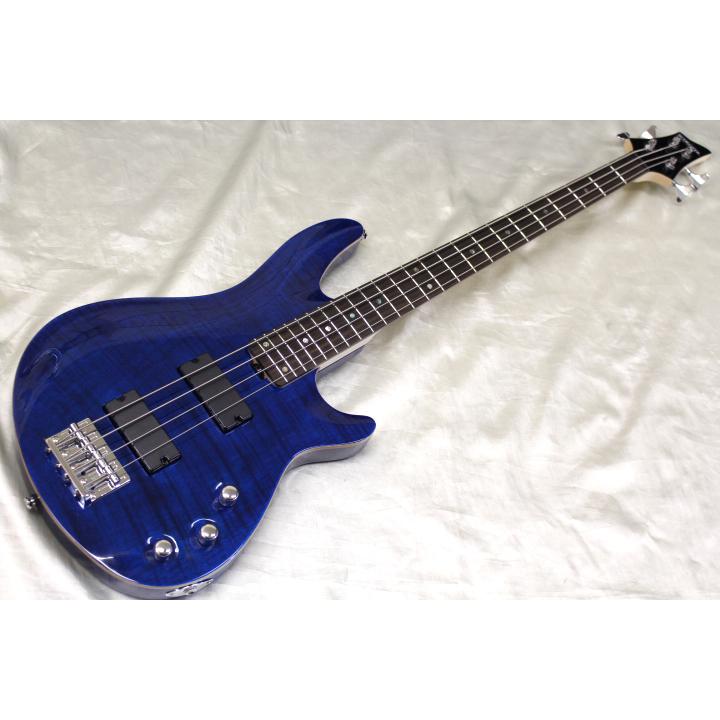 現品限りで値下げしました！ SCHECTER(シェクター) / JOL-CT-B-4 BKAQ 