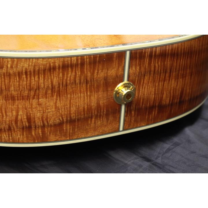 Takamine 新品 Takamine(タカミネ) / LTD2022 限定モデルギター