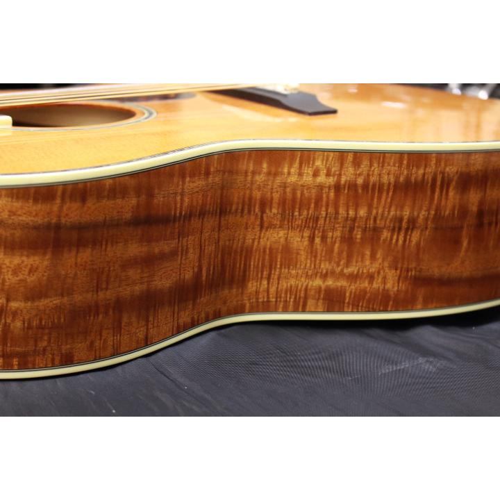 Takamine 新品 Takamine(タカミネ) / LTD2022 限定モデルギター