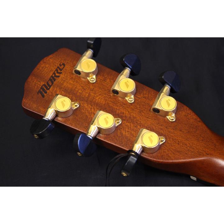 Morris(モーリス) / S-91 TS エレクトリック・アコースティックギター