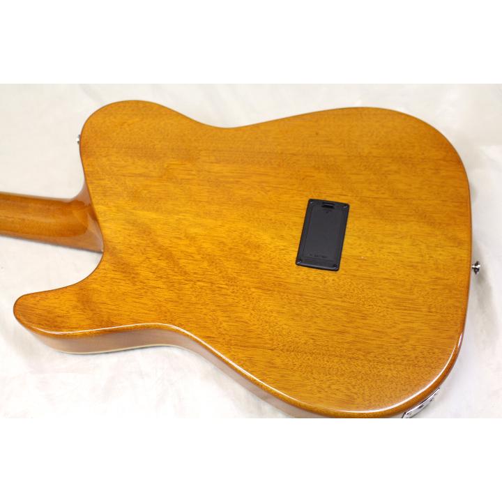 新品 SCHECTER(シェクター) / OL-FL BLK エレアコ 初心者にもおすすめ