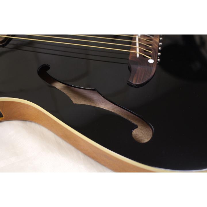 新品 SCHECTER(シェクター) / OL-FL BLK エレアコ 初心者にもおすすめ