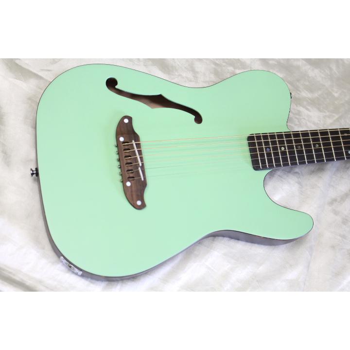 SCHECTER SCHECTER(シェクター) / OL-FL SSG エレアコ 初心者にも