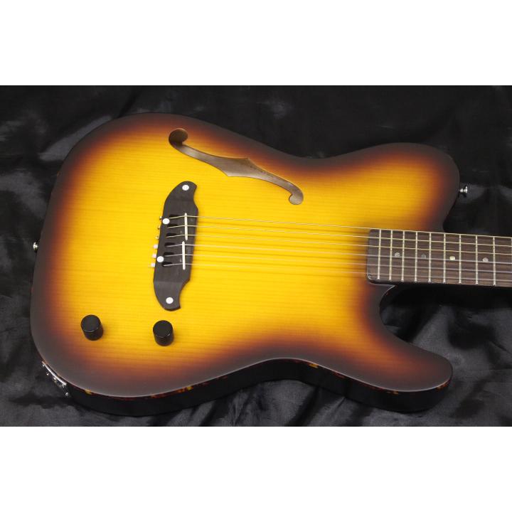 SCHECTER 新品 SCHECTER(シェクター) / OL-FL-N-P TSB ナイロン弦