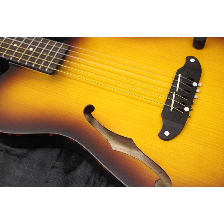 SCHECTER 新品 SCHECTER(シェクター) / OL-FL-N-P TSB ナイロン弦