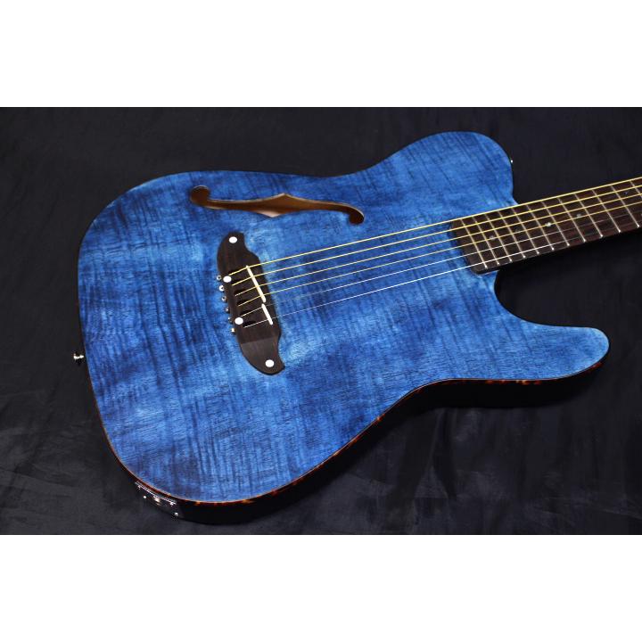 SCHECTER 新品 SCHECTER(シェクター) / OL-FL SSTB エレクトリック