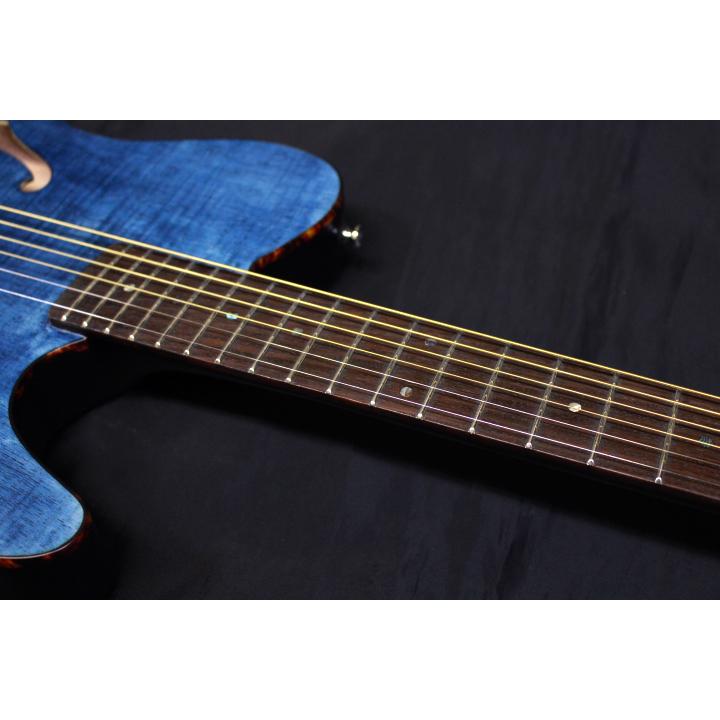 SCHECTER 新品 SCHECTER(シェクター) / OL-FL SSTB エレクトリック