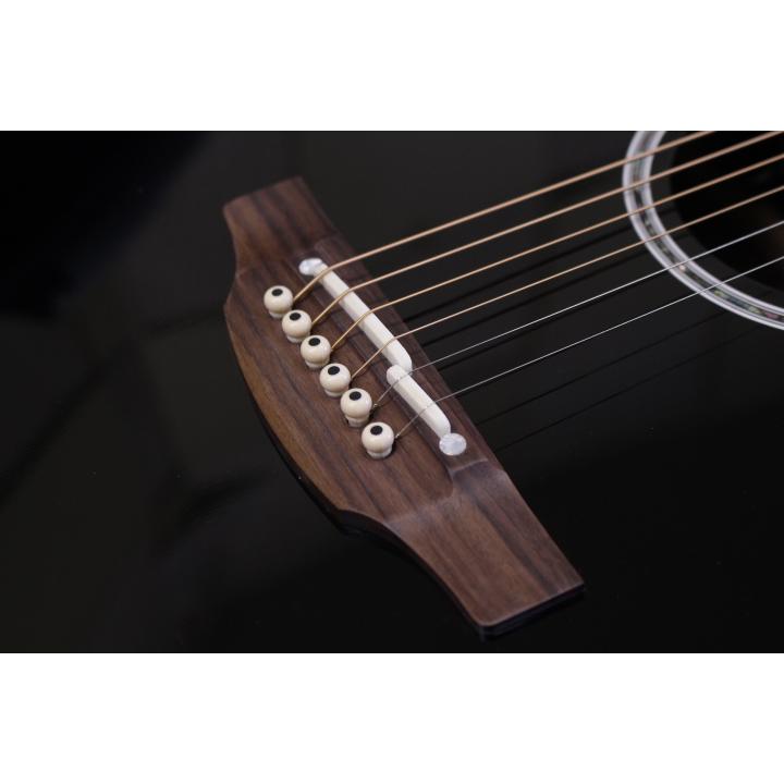 Takamine 新品 Takamine(タカミネ) / TDP161C BL 100シリーズ【ハード