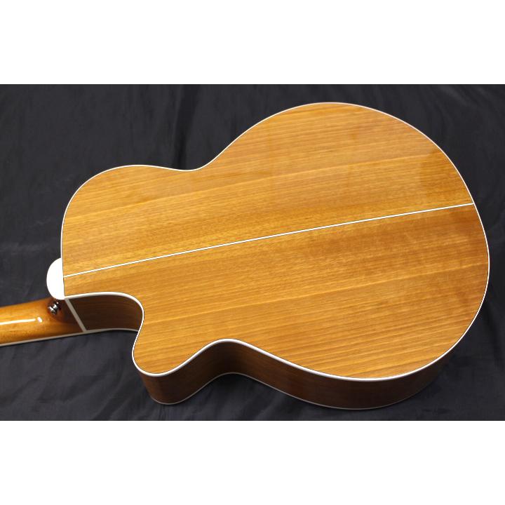 Takamine 新品 Takamine(タカミネ) / 100シリーズ PTU121C VN