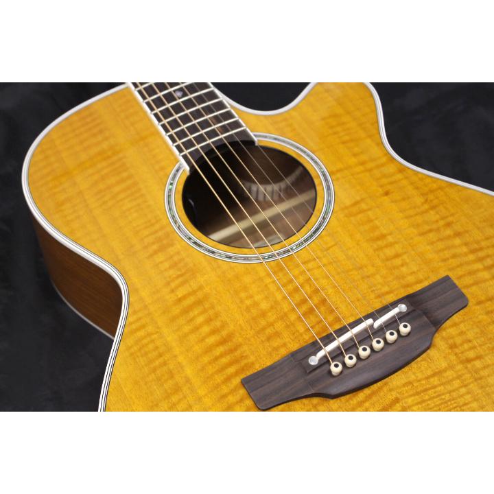 Takamine 新品 Takamine(タカミネ) / 100シリーズ PTU121C VN