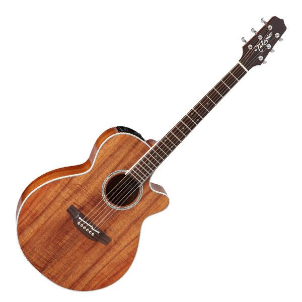 ギター Takamine PTU131KC N / 100% NEW Guitar Takamine 新品 Takamine(タカミネ) / PTU131KC N 100シリーズ