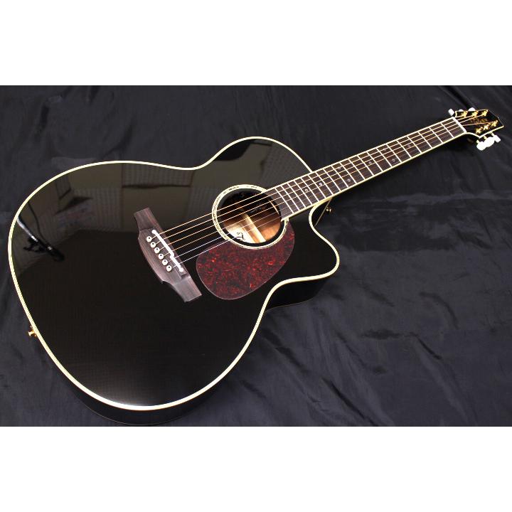 Takamine 【現品限り・新品】Takamine(タカミネ) / TDP752C BL 700